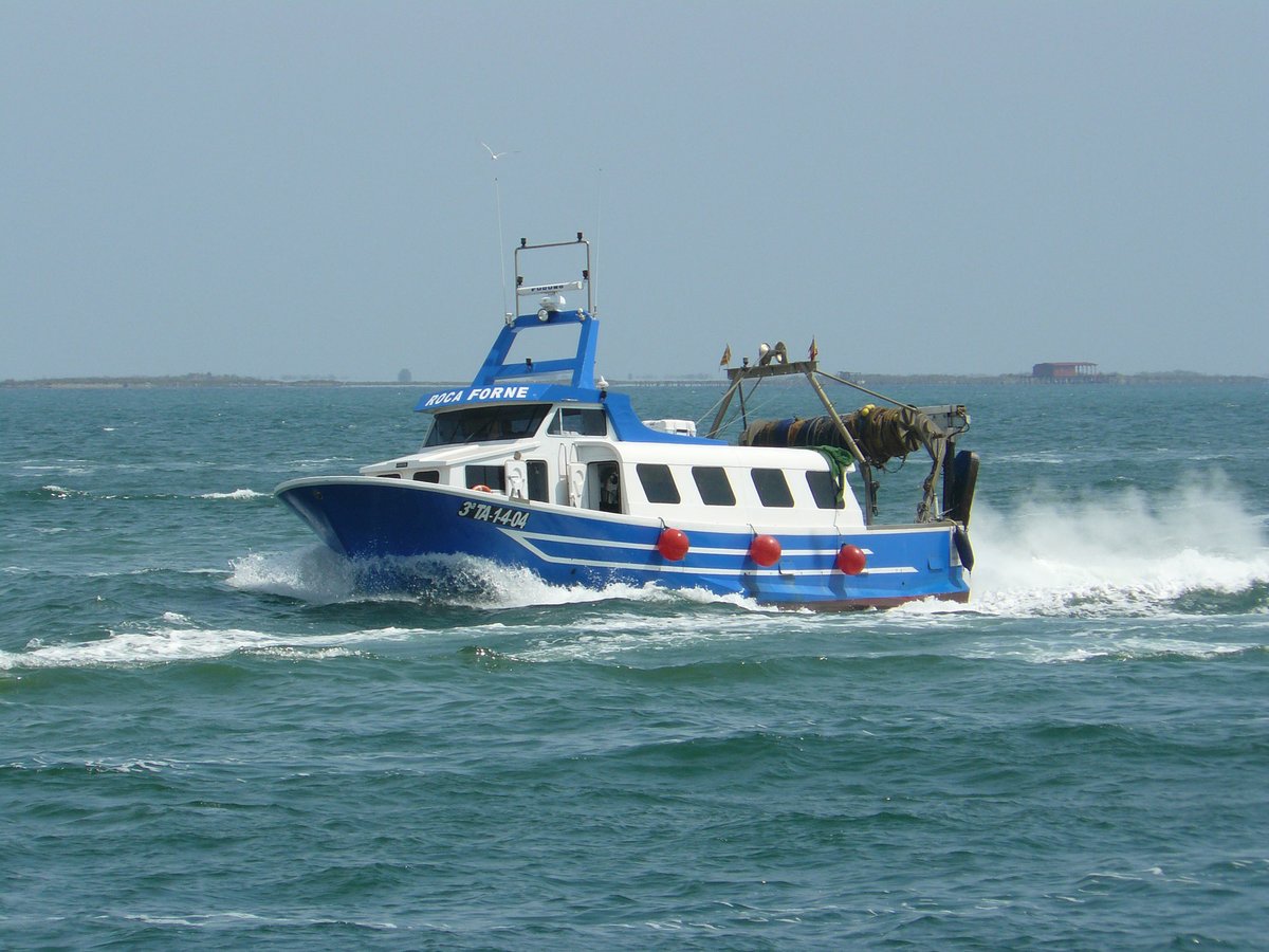 Imagen de Capitol 8 - 2004